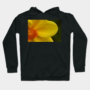 Golden Curves Hoodie